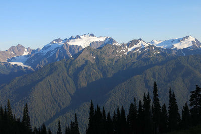 Hike of the Week: Olympic National Park - Hoh River to Sol Duc