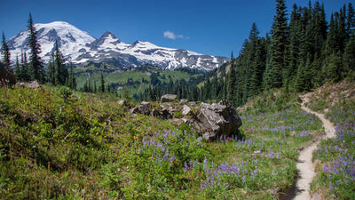 Top 10 Best Backpacking Trips in Washington State