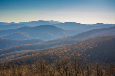 Hike of the Week: Art Loeb Trail