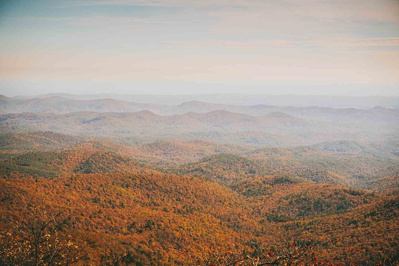 Hike of the Week: Bartram Trail - Georgia Section