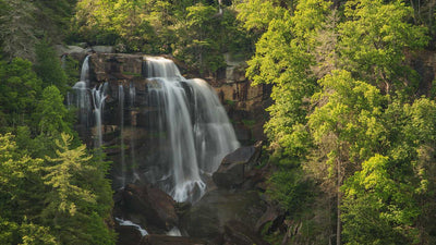 Top 8 Backpacking Trips in North Carolina