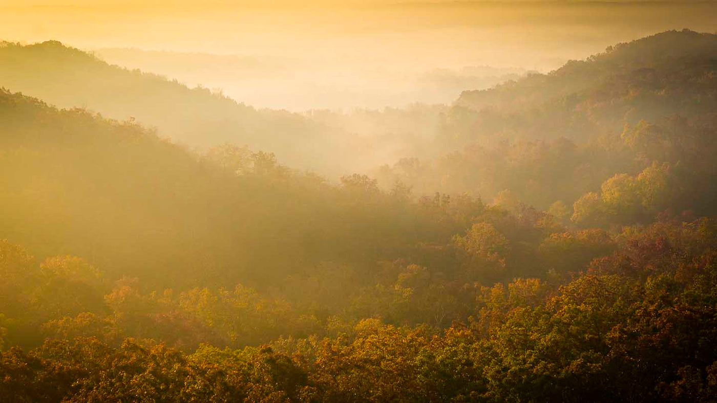 Hike of the Week: Big Piney Trail