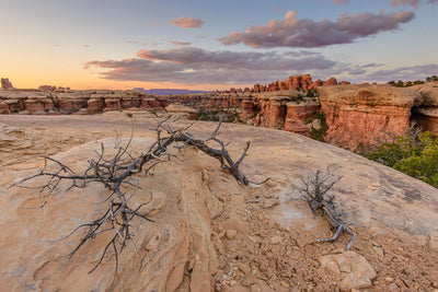 Hike of the Week: Canyonlands - Needles District