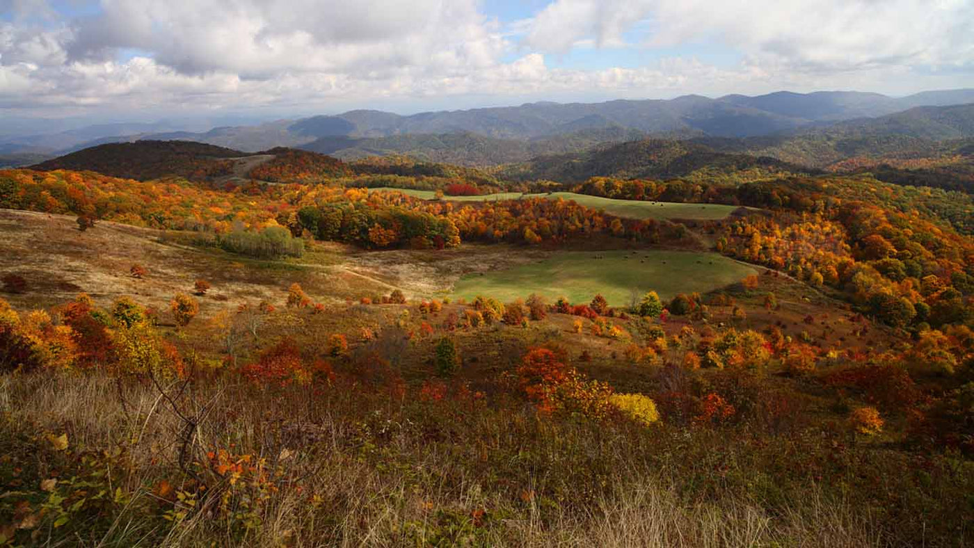 Hike of the Week: Davenport Gap to Max Patch