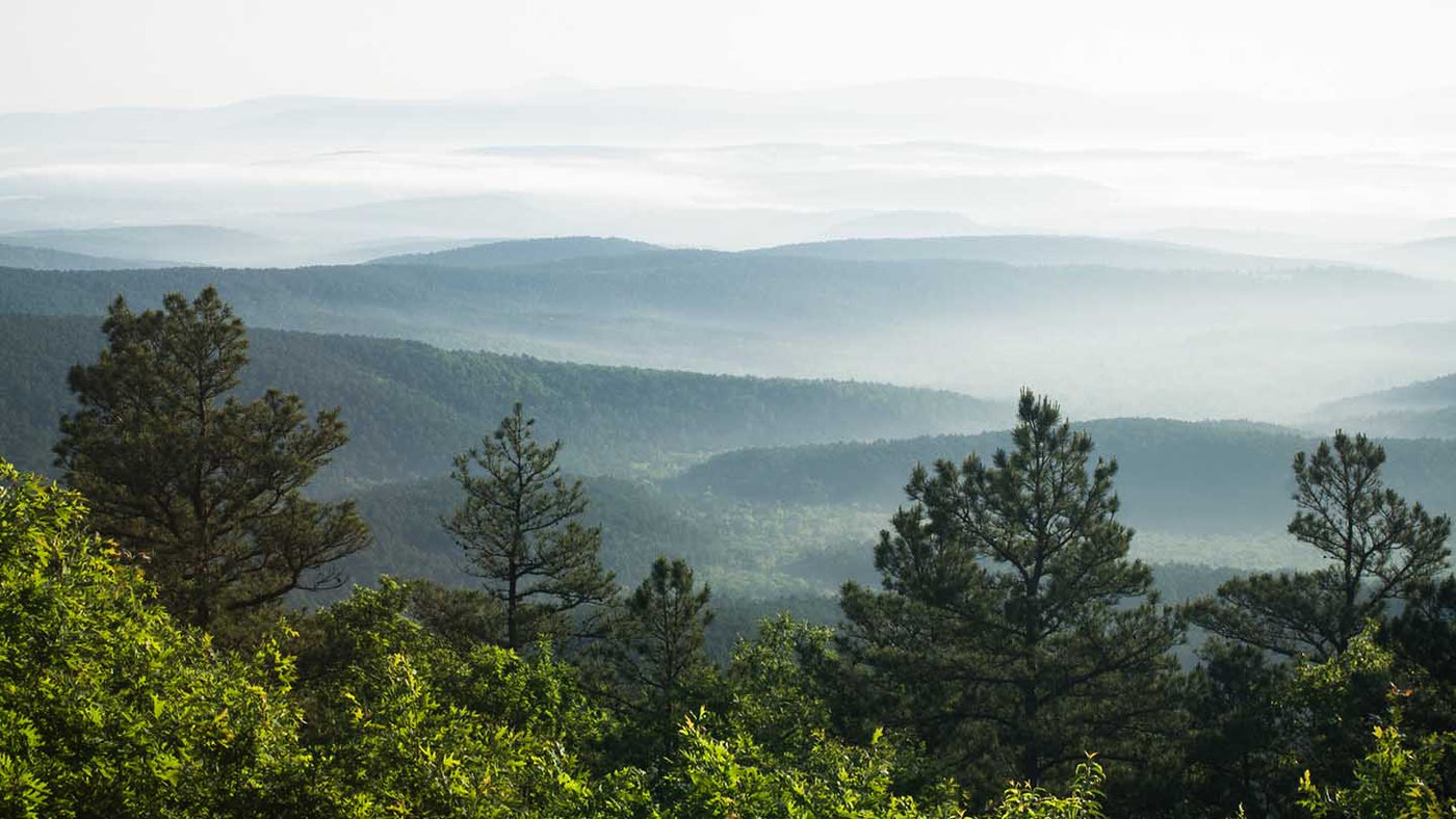 Hike of the Week: Eagle Rock Loop
