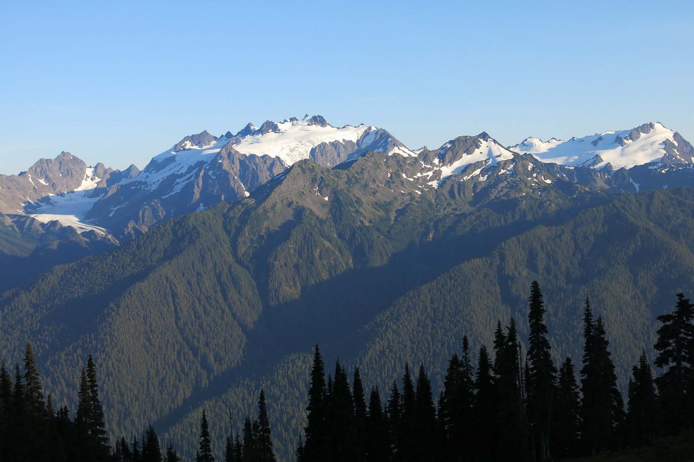 Hike of the Week: Olympic National Park - Hoh River to Sol Duc