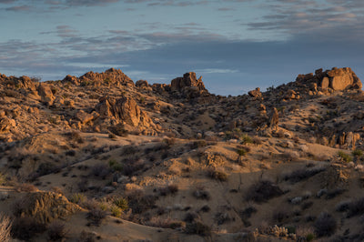 Hike of the Week: Joshua Tree National Park