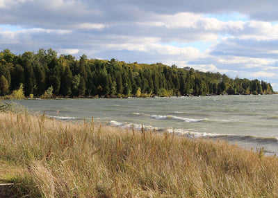 Hike of the Week: Newport State Park, Wisconsin