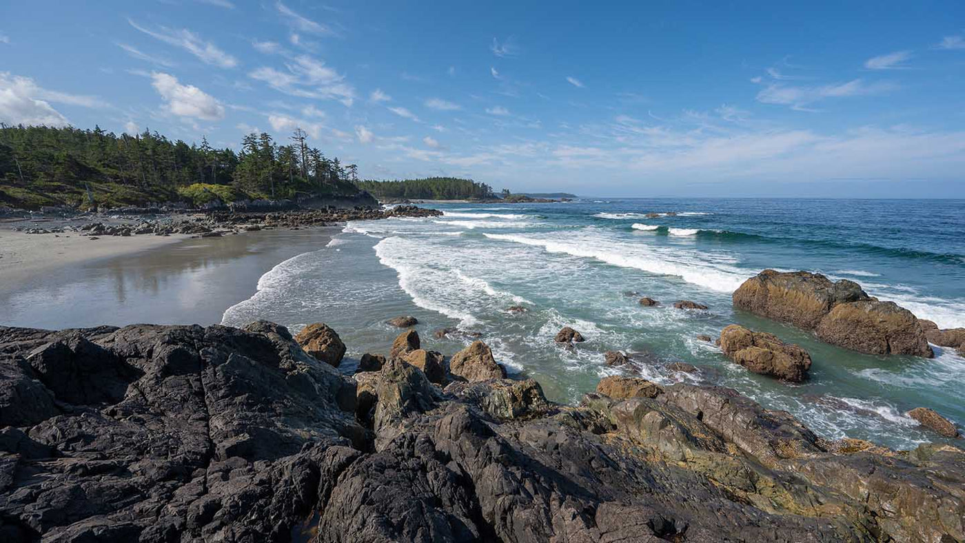 Hike of the Week - North Coast Trail