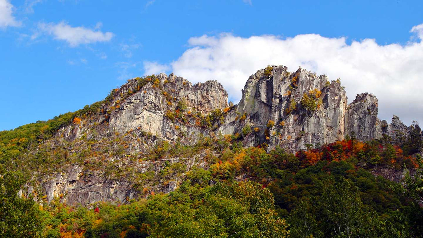 Hike of the Week: North Fork Mountain Trail