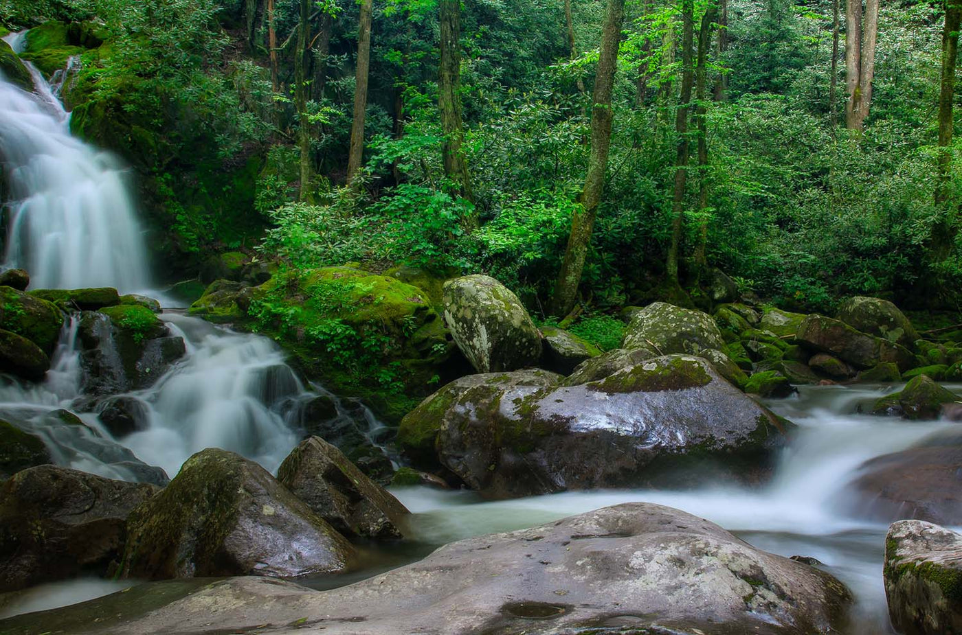 Hike of the Week: North Sterling Loop