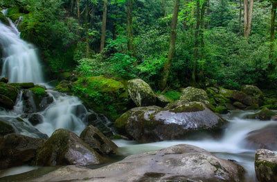 Hike of the Week: North Sterling Loop