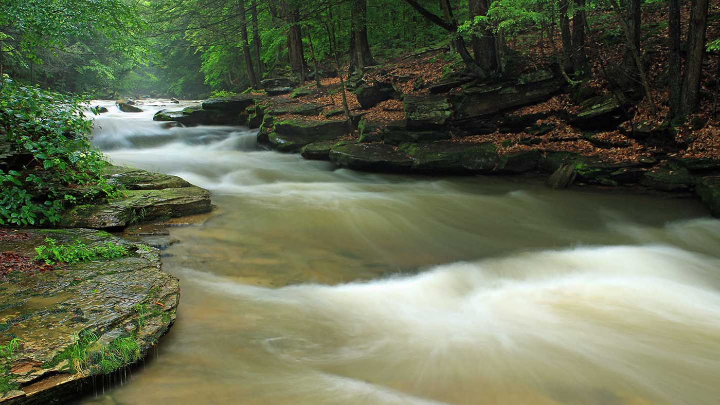 Best Backpacking Trips in Pennsylvania