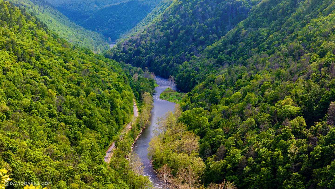 Hike of the Week: Pennsylvania Grand Canyon West Rim Trail