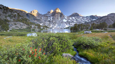 Best Backpacking Hikes in Sequoia National Forest