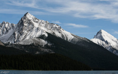 Hike of the Week: Skyline Trail