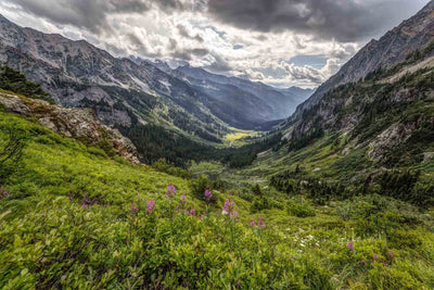 Hike of the Week: Spider Gap-Buck Creek Pass Loop