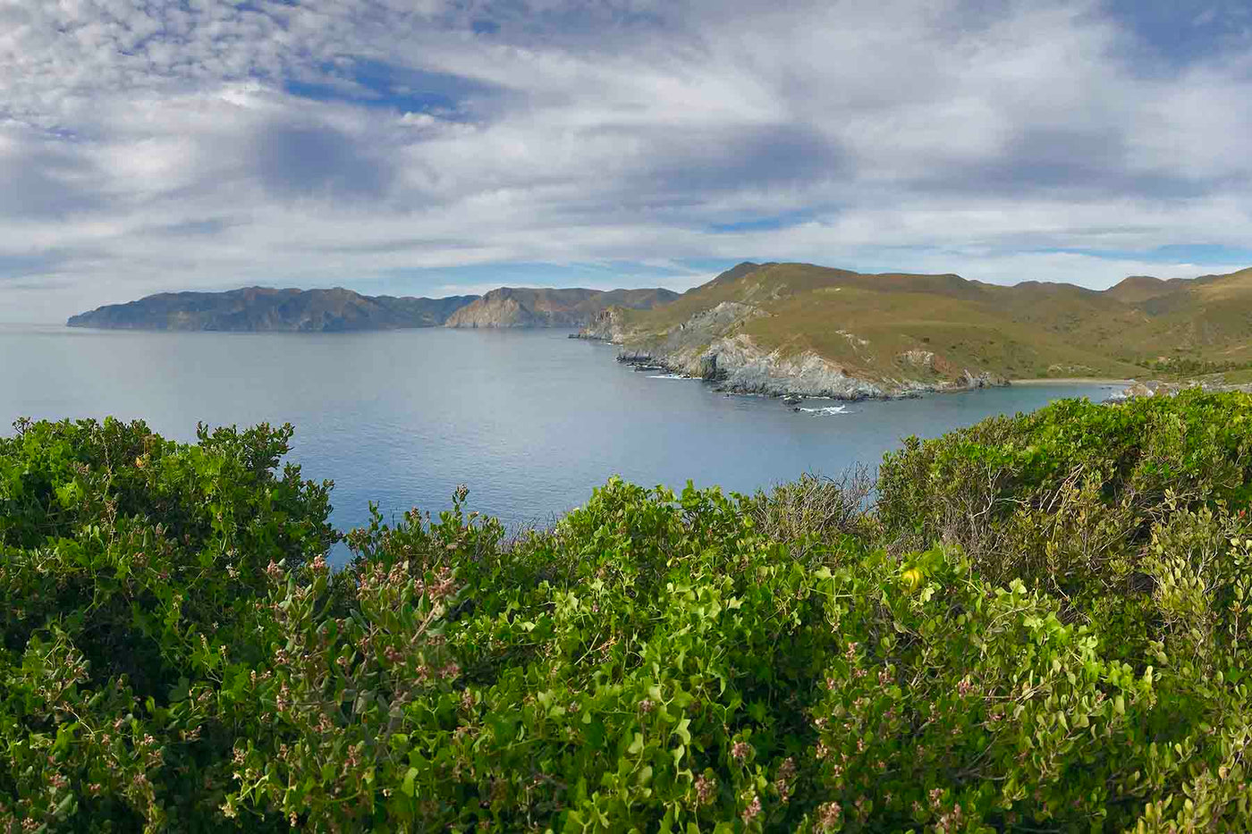 Hike of the Week: Trans-Catalina Trail