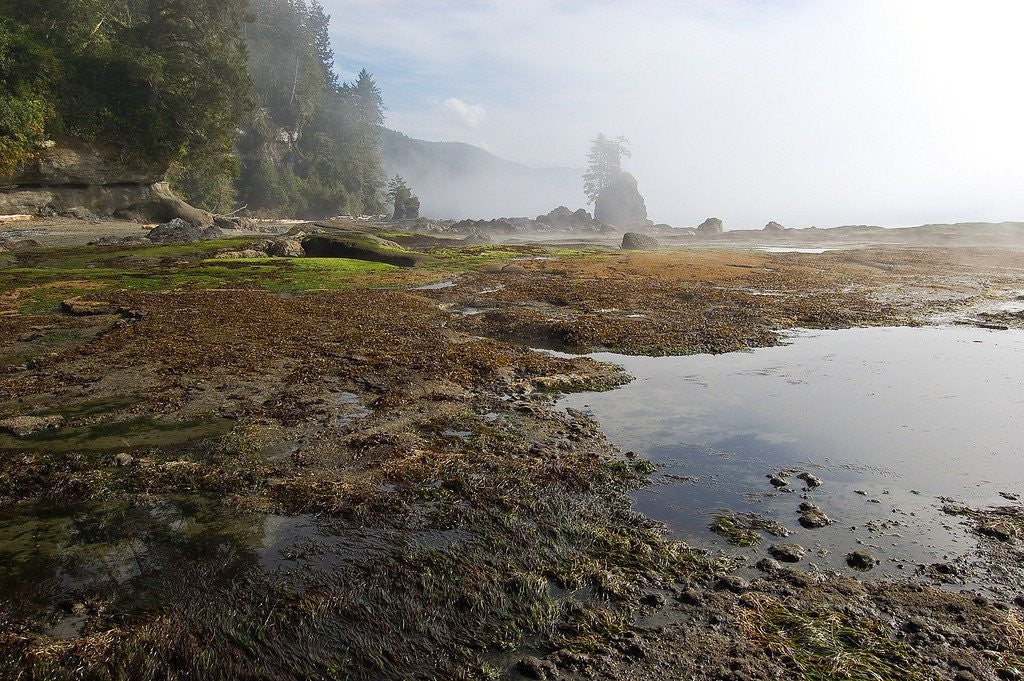 Hike of the Week: West Coast Trail