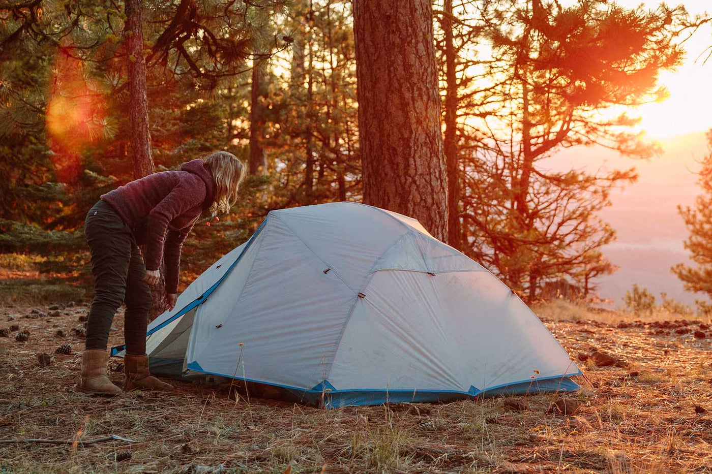 Paria tent online