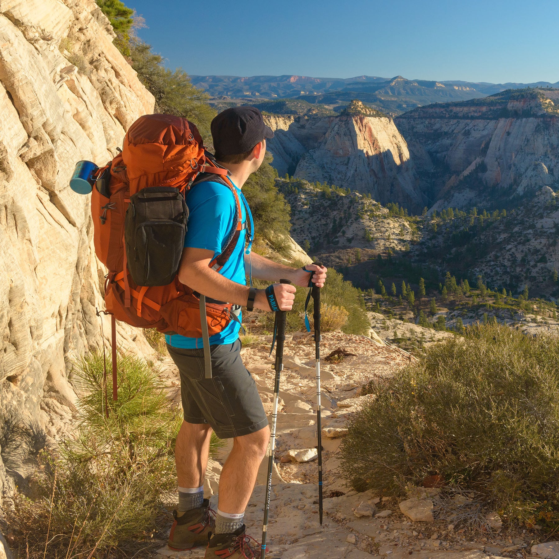 Treyl DuraLight Pro Trekking Poles - Ultralight For Backpacking Hunting –  Treyl Co.