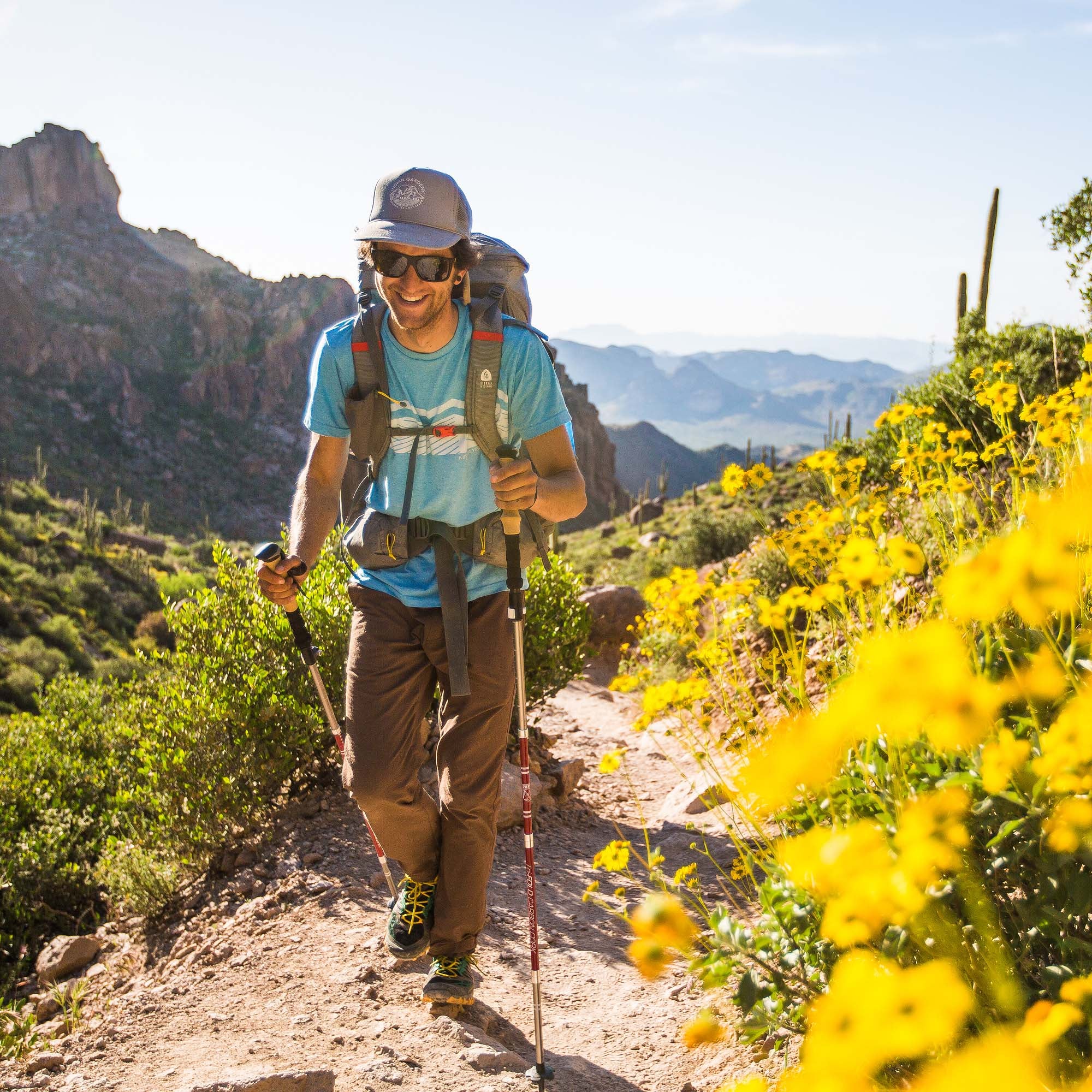 Backpacking poles sales