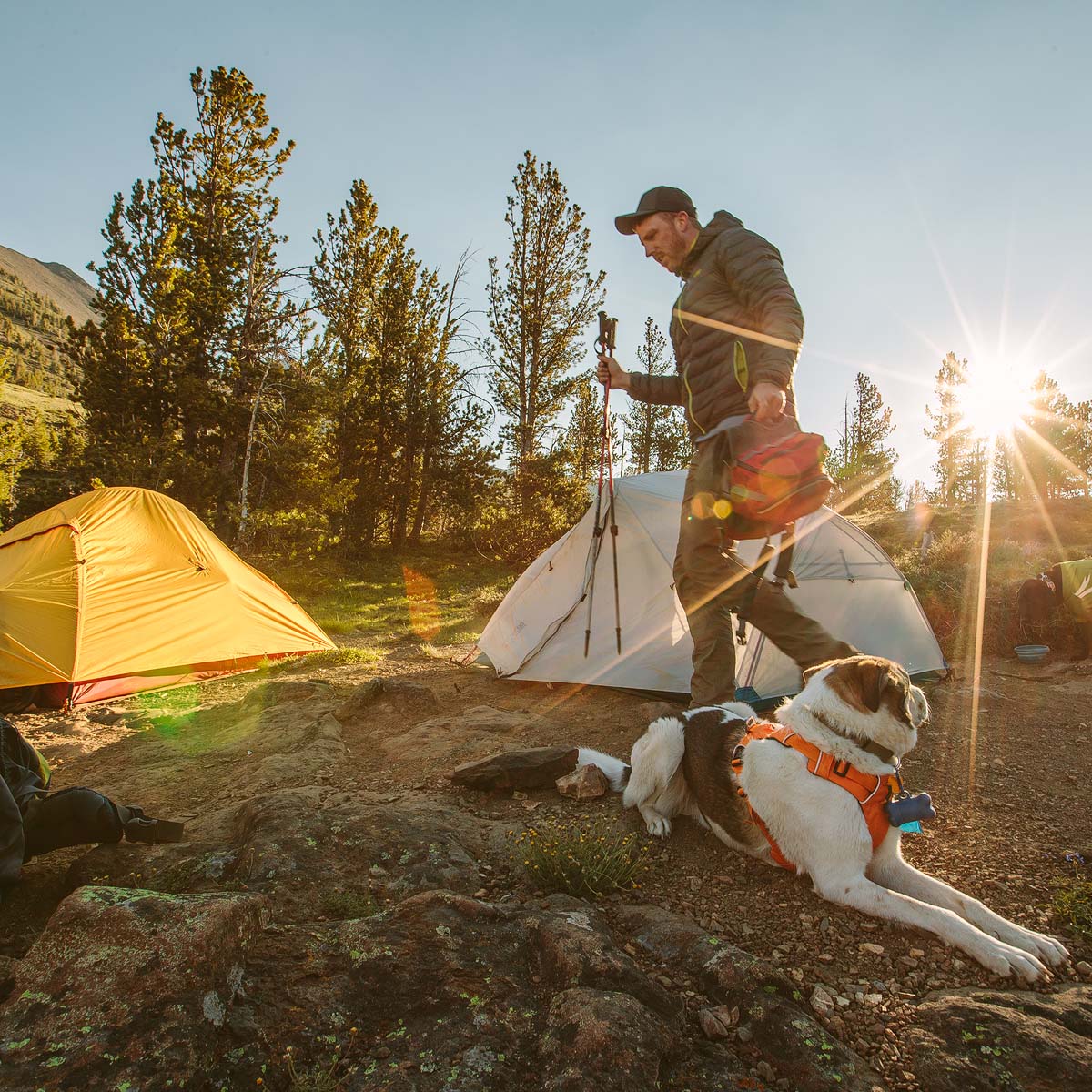 Zion 2p backpacking tent hot sale
