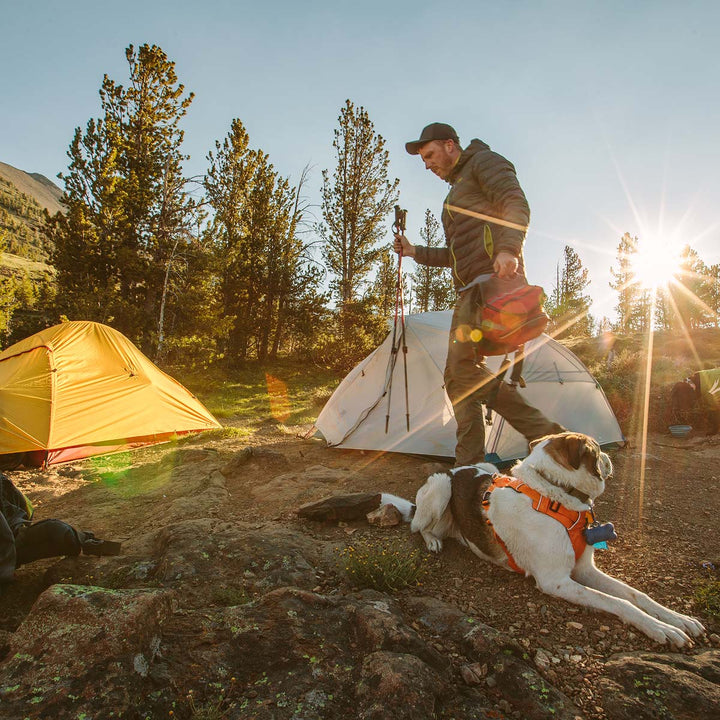 Affordable Backpacking Tent